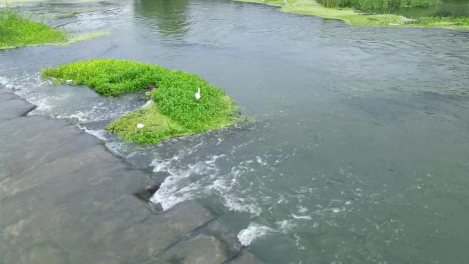 雨后的台儿庄涛沟河湿地和涛沟桥