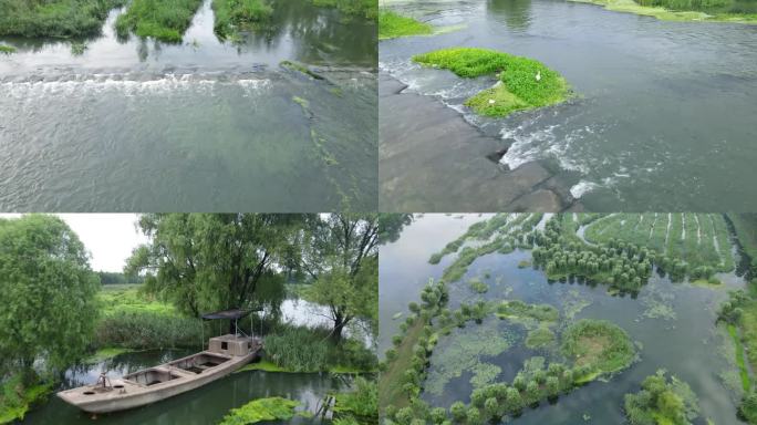 雨后的台儿庄涛沟河湿地和涛沟桥