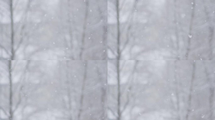 冬天飘落的雪在模糊的树木背景上的镜头。冬天窗外的景色。新鲜的雪，就像装饰着闪闪发光的钻石，看起来令人