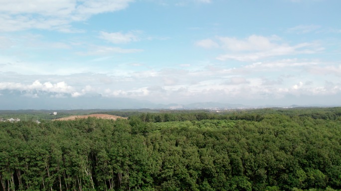 中国沉香博览园茂名电白航拍城市特色博物馆