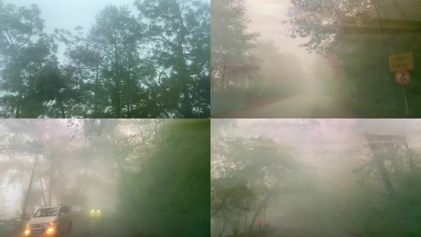 大雾天气开车