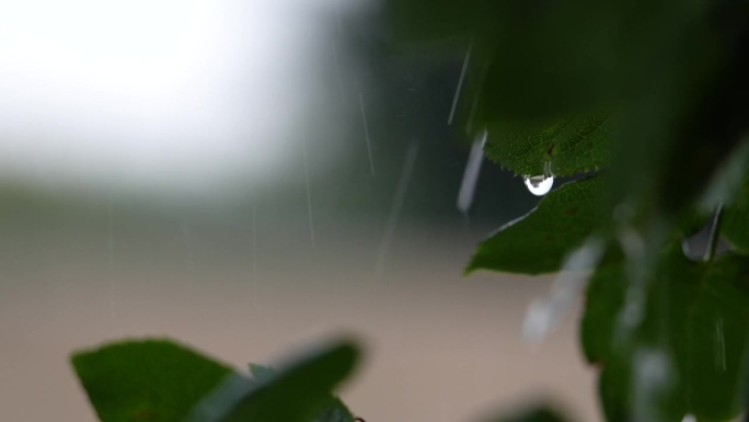 一场暴雨的4K视频，有闪电和雷声，可听和被动的雨滴声