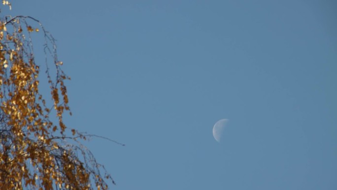 月亏的月亮在白天蓝天的背景下慢慢流逝