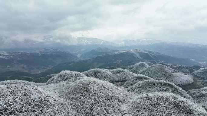 贵州道真县雪景