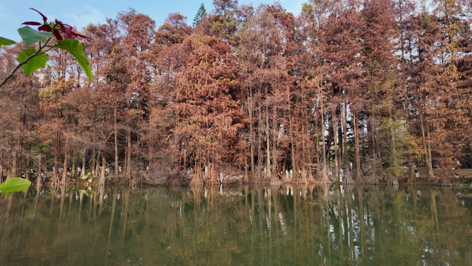 中国广东省广州市天河区华南植物园