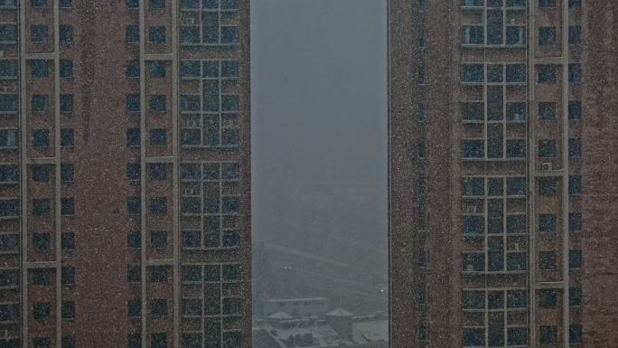 大雪 雪天的窗外