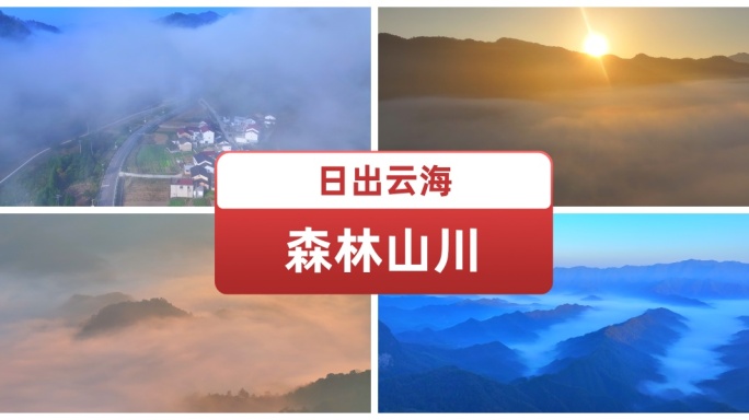 日出云海森林山川森林