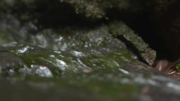 【4K】自然唯美山林小溪流水写意空镜
