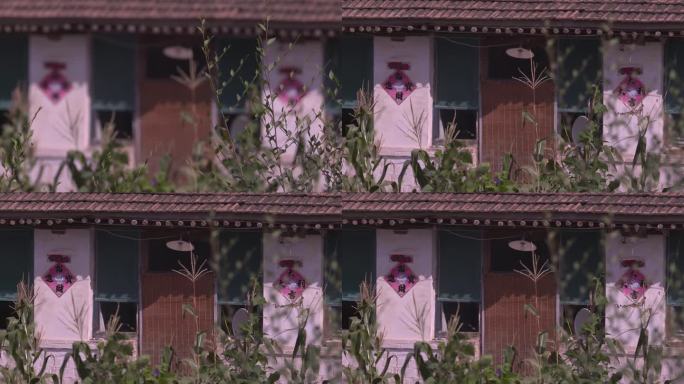 实拍农村的屋门口 竹帘