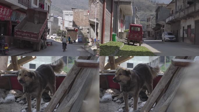 云南乡村扫街街景村野街道老人与狗