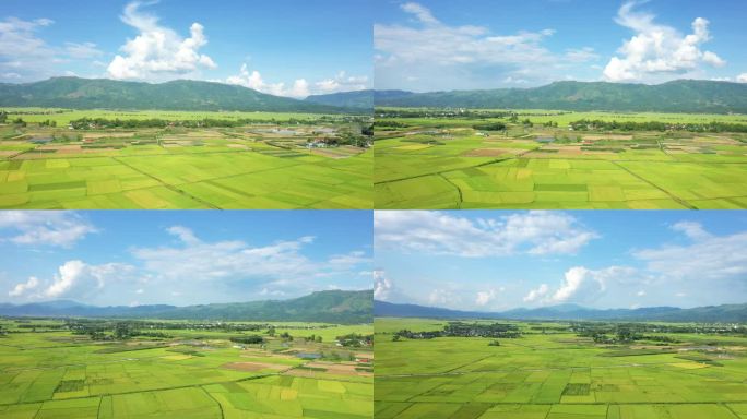 绿色和黄色的稻田在绿色的山上，亚洲，越南，东京，奠边府，夏天，在一个阳光明媚的日子。