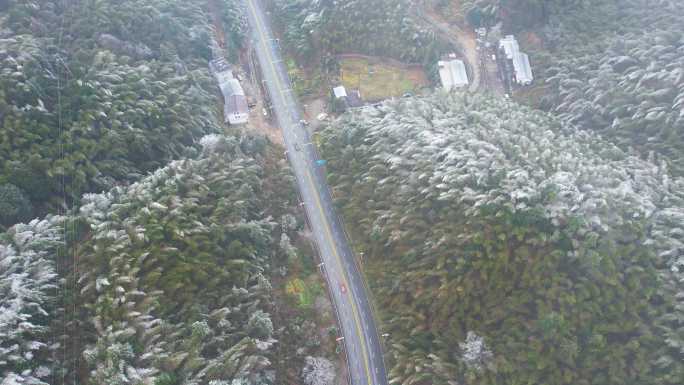 江西井冈山冬季风光冻雨雾凇穿云大雾航拍