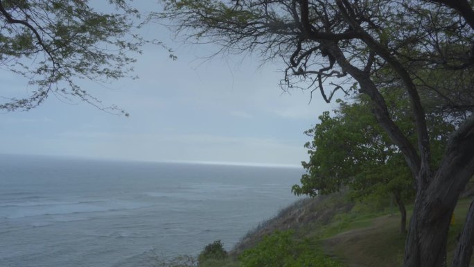 在夏威夷瓦胡岛的一棵树衬托下，悬崖边的海景