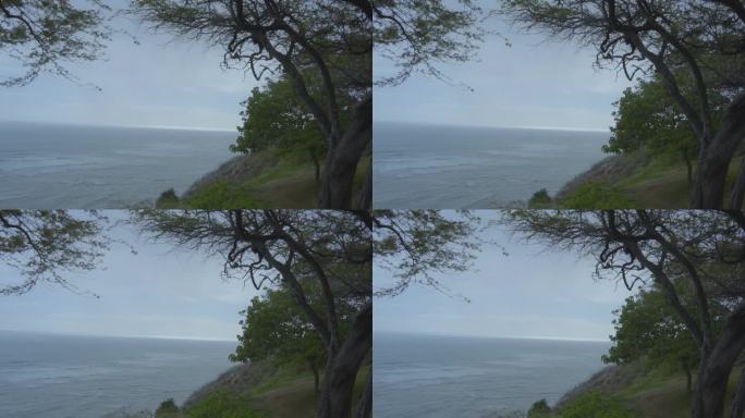 在夏威夷瓦胡岛的一棵树衬托下，悬崖边的海景