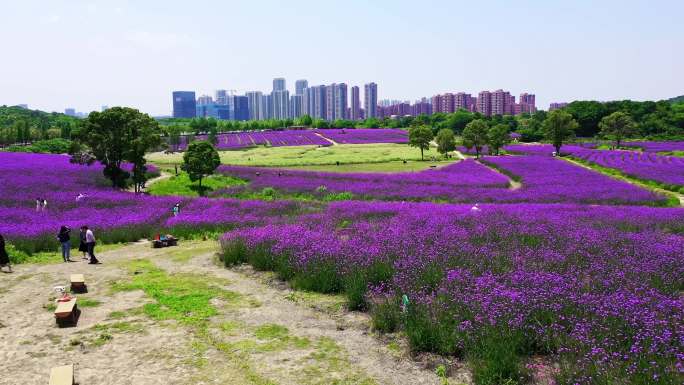 武汉光谷城市地标航拍