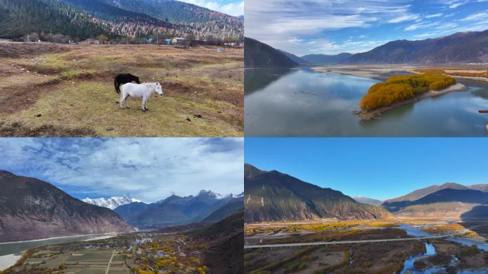 西藏 旅拍 旅游 风景 车拍  绝美