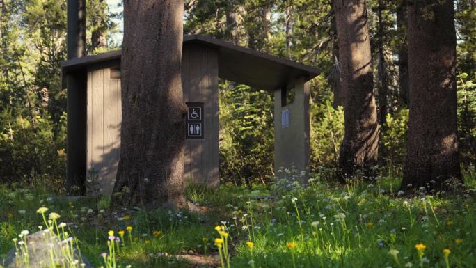 在一个隐蔽的森林空地上的公共国家公园或州立公园洗手间