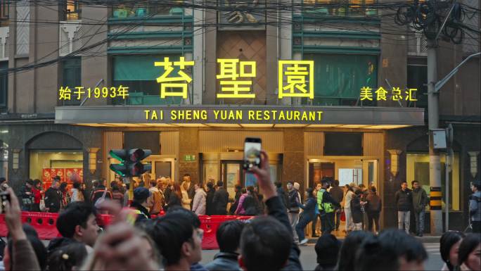 上海苔圣园至真园黄河路路人游客人流