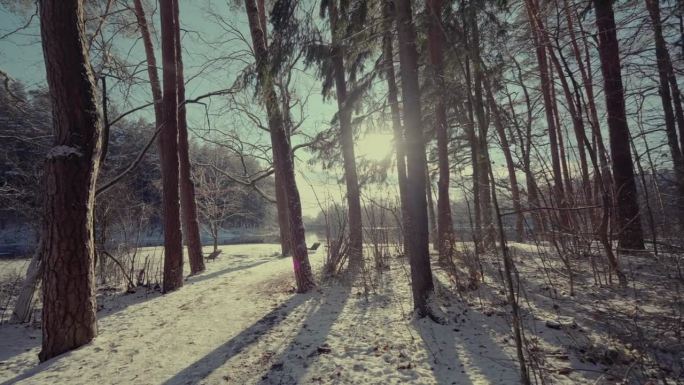 冬天的森林里下雪了。湖。太阳。寒冷
