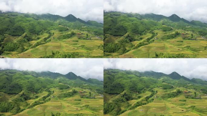 绿色和金色的梯田点缀着绿色的热带山脉，在亚洲，在越南，在东京，在萨帕，朝着老街，在夏天，在一个阴天。