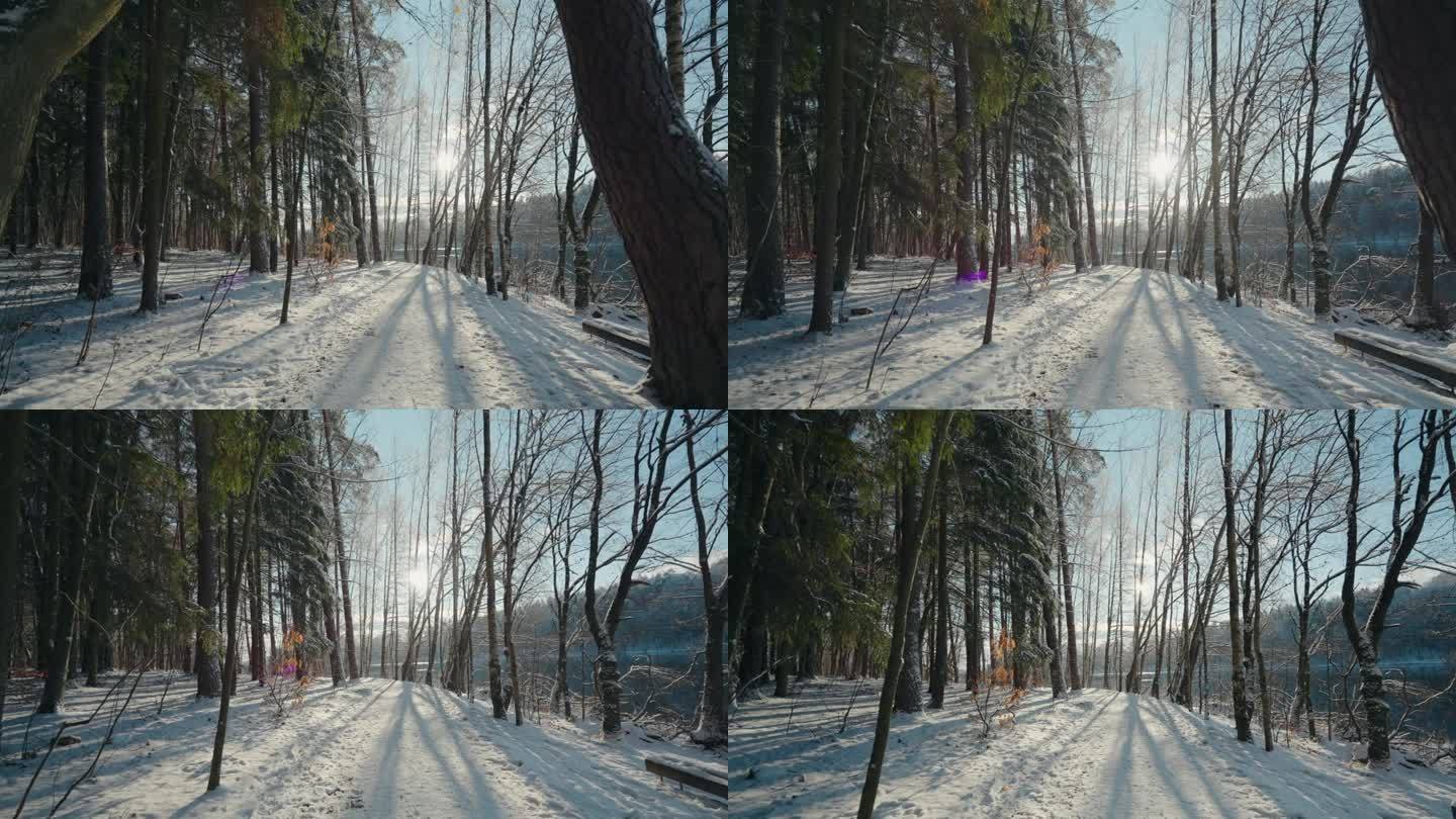 冬天结冰的森林、湖泊和小路