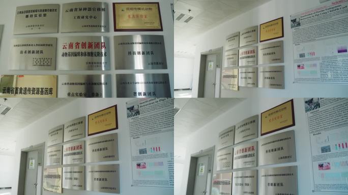 云南省多个重点实验室牌匾合集4K实拍