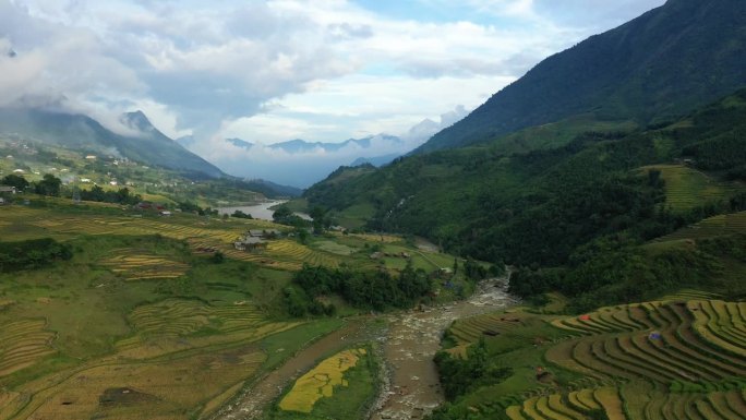 在起伏的绿色和黄色的稻田中间，在绿色的山脚下，在亚洲，在越南，在东京，在萨帕，朝着老蔡，在夏天，在一