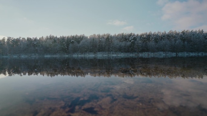 美丽的冬季景观。森林倒映在湖面上
