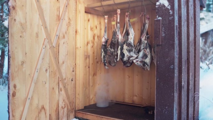 冬季传统冷烟熏室内悬挂狍子肉。中景镜头