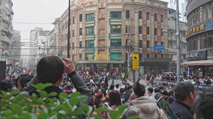 上海苔圣园至真园黄河路路人游客人流