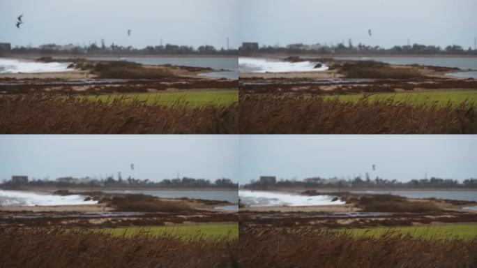 大风把沿海水域吹成暴风雨般的海景，风筝冲浪者勇敢地面对着海浪，为自然力量、极限运动、气候问题等主题提