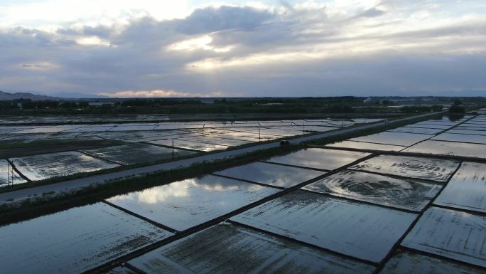 阿克苏水田航拍夕阳