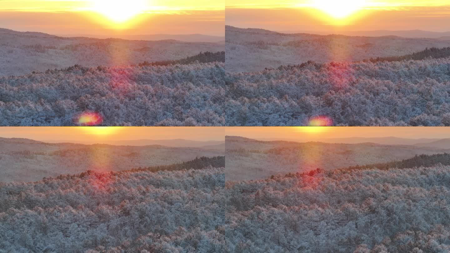 雾凇 冬 夕阳 呼伦贝尔 额尔古纳