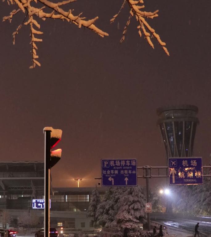 雪夜下雪 路灯 城市夜景