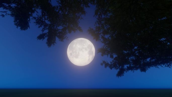夜晚月亮升上树梢延时摄影