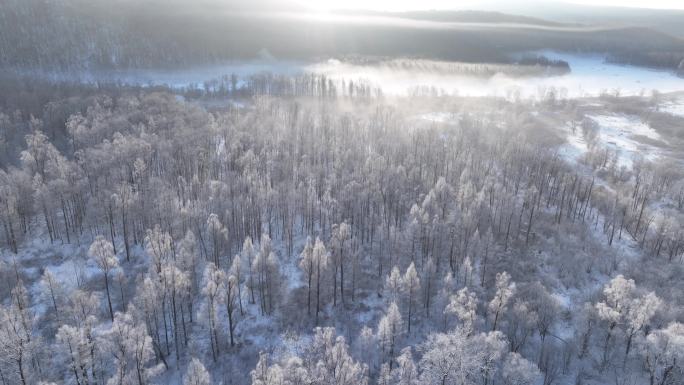 航拍林海雪原雾凇阳光