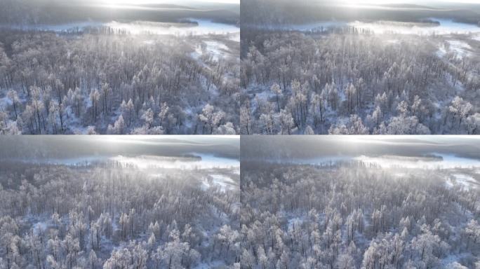 航拍林海雪原雾凇阳光