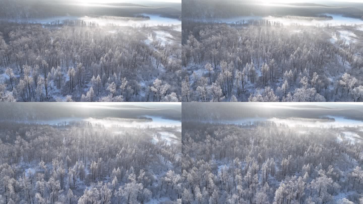 航拍林海雪原雾凇阳光
