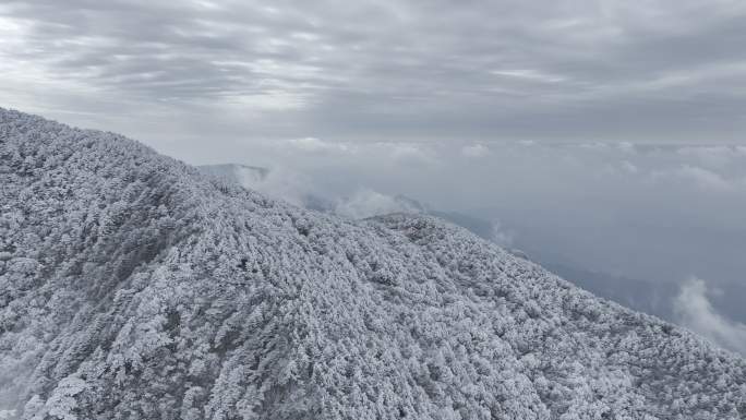 航拍雾凇满山雾凇大雪封山唯美雪景雪山云海