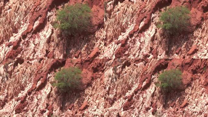 马达加斯加的红青岛啤酒。地质学。大自然的奇迹。红青岛-独特的玄武岩。由于土壤侵蚀而形成的岩层。