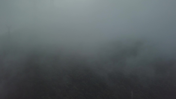 塔山的雾
