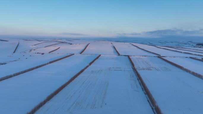 农垦垦区自然风光寒冬农田雪景