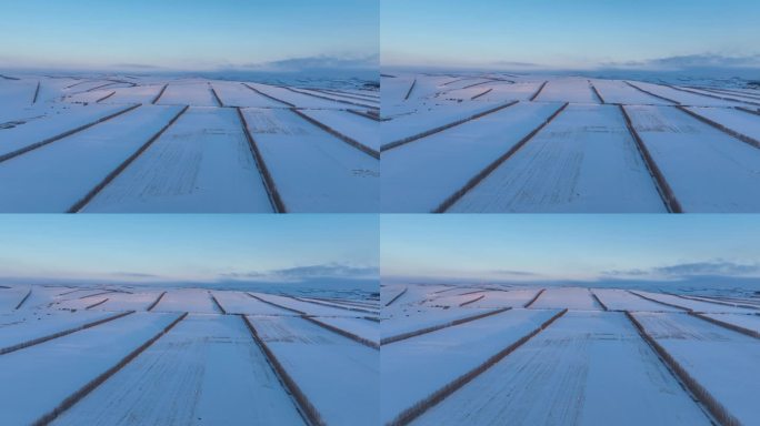 农垦垦区自然风光寒冬农田雪景