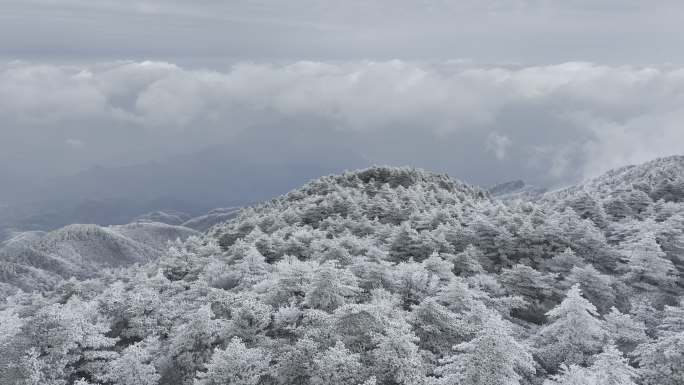 航拍雾凇满山雾凇大雪封山唯美雪景雪山云海