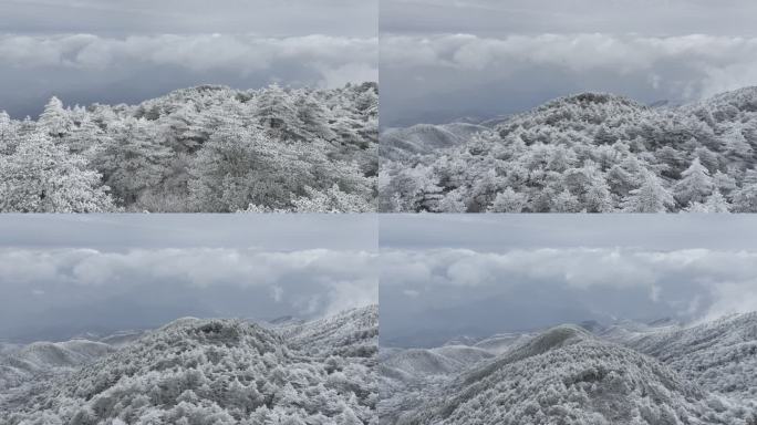 航拍雾凇满山雾凇大雪封山唯美雪景雪山云海