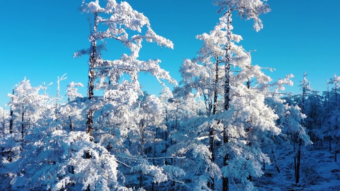 林海雪原 唯美高山雾凇