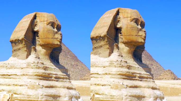 一只美丽的骆驼在银座金字塔旁冉冉升起。开罗,埃及