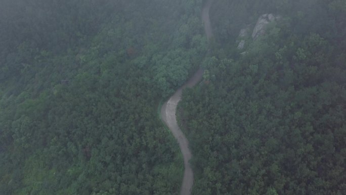 烟台塔山森林迷雾中的小路