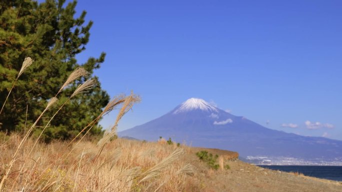 从海边看，湛蓝的天空和富士山