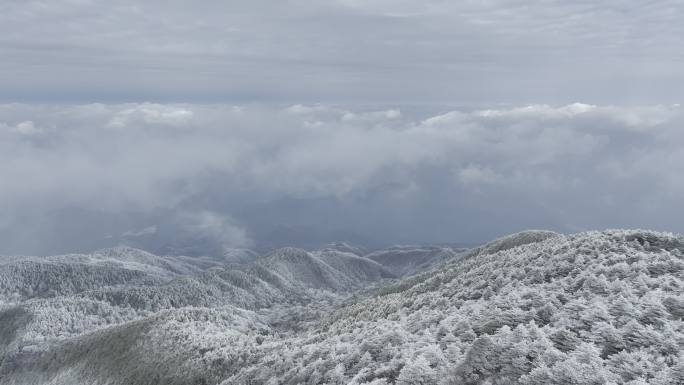 航拍雾凇满山雾凇 大雪封山